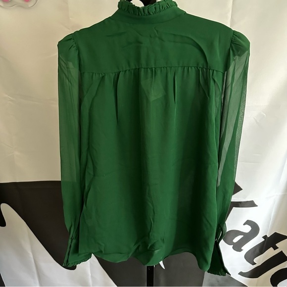 Divine Heritage 100% Silk Ruffle Front Blouse - Picture 6 of 8